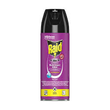 Raid Multi-Purpose Insect Killer 200ml
