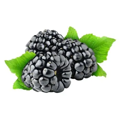 Blackberry 125G
