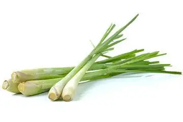 Lemon Grass 50g