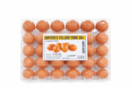 Jupiters Yellow York 30Pack