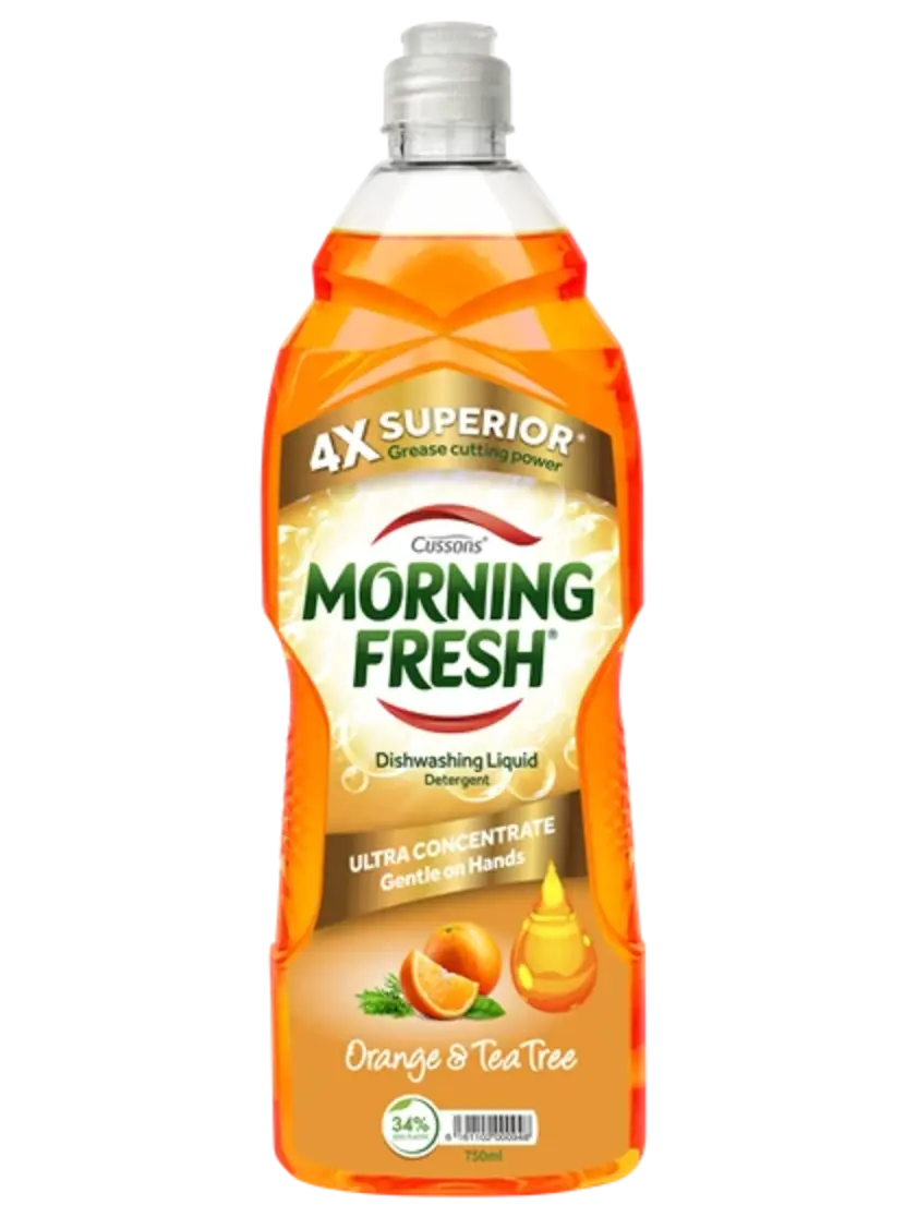 Morning Fresh Dish Liquid Antibacterial 450ml