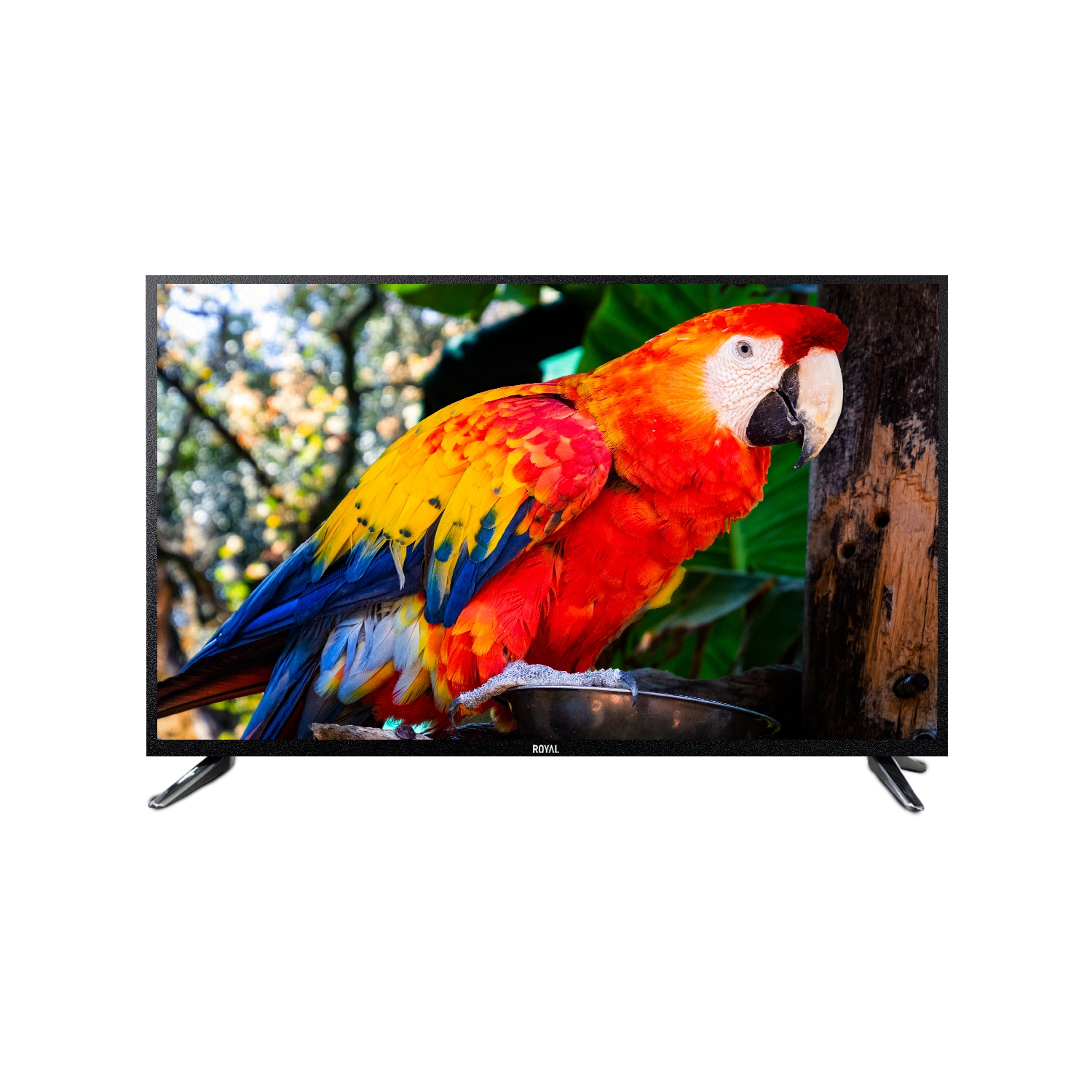 Royal 55'' Smart Tv Webos Le5500F1Uw
