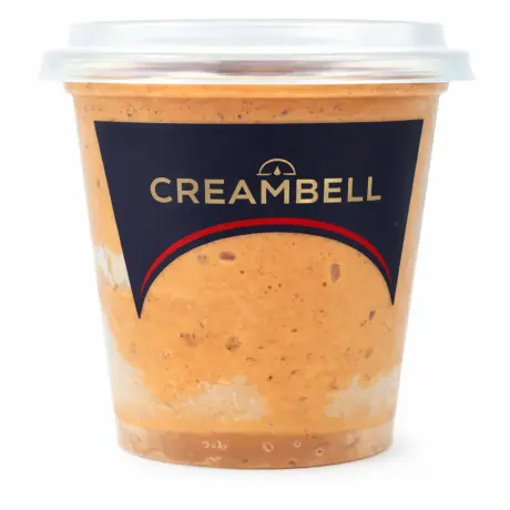 Creambell Chocolate Chips Ice Cream 200ml