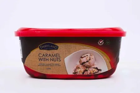 Dairyland Caramel & Nuts Ice Cream 1Ltr
