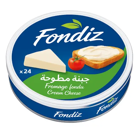 Fondiz Triangle Cheese 102G 8Pcs