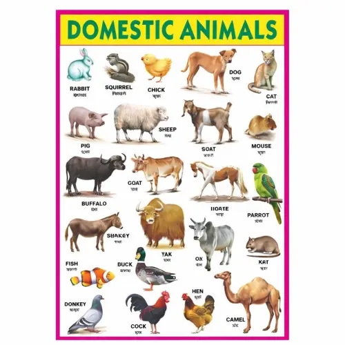Fullmark Domestic Animal Chart