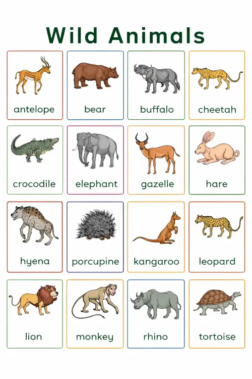 Fullmark Wild Animal Chart