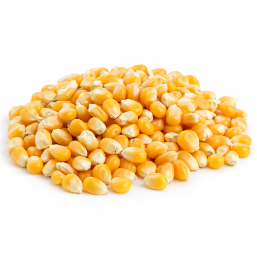 Farmnaivas Popcorn 1Kg