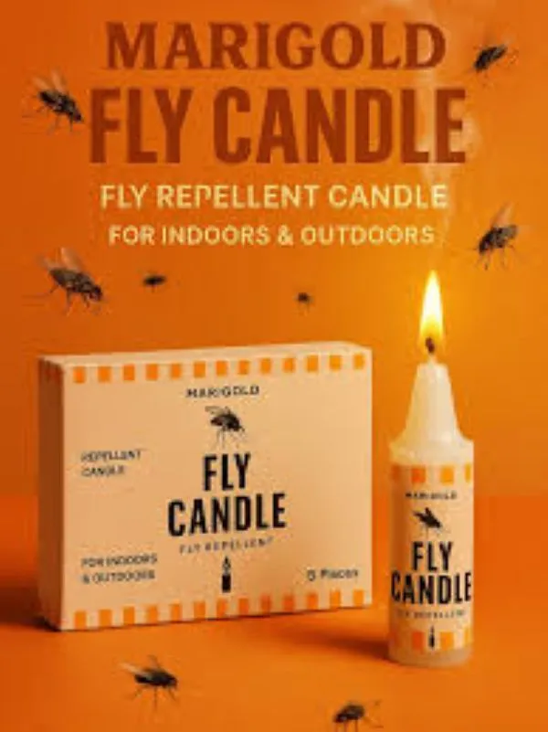 Marigold Fly Repellent Candle
